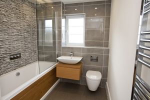 chestnut shadwell plot 1 3 sm.jpg